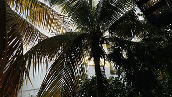 Hotel B&B - 5th Avenue