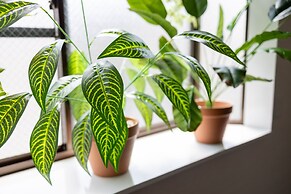 Comfy Stay Sakuramachi