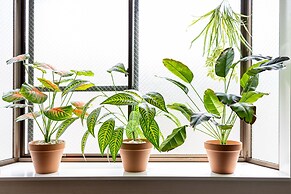 Comfy Stay Sakuramachi