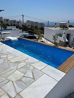 White Villas Paros With Private Pool