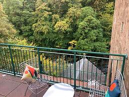 Lovely Riverside Perthshire Flat - Sleeps 8