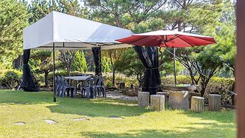 Daebudo Bomnaldogchaepension