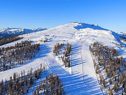 Apartment on the ski Slopes at Plan de Corones