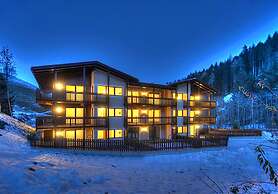 Apartment on the ski Slopes at Plan de Corones