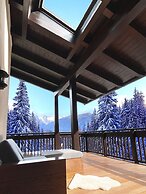 Apartment on the ski Slopes at Plan de Corones