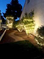 Summerlin Sensation Splash in the Pool