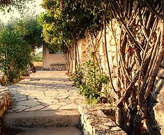 Villa Kounouvato Ithaca