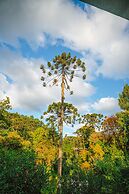 Reserva Campos do Jordão