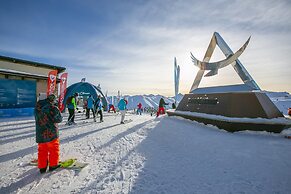 Ermellino Ski in - Ski out 150m