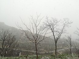 Casa de huéspedes B&B Villa de las Hortensias