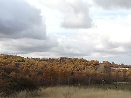 Casa de huéspedes B&B Villa de las Hortensias
