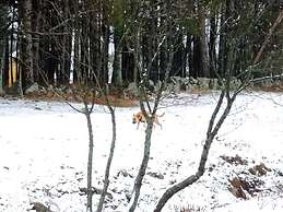 Casa de huéspedes B&B Villa de las Hortensias