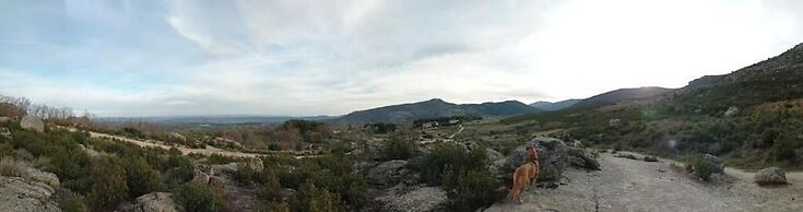 Casa de huéspedes B&B Villa de las Hortensias