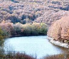 Casa de huéspedes B&B Villa de las Hortensias