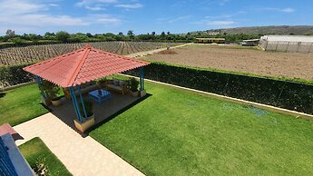 Amazing House at La Isabela