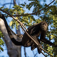 Playa Flamingo Beautiful new 5-br Oceanview Villa - Luxury Casa de Ilu