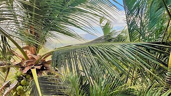 Playa Potrero 4 BR Home Large Saltwater Pool Spectacular Views - Villa