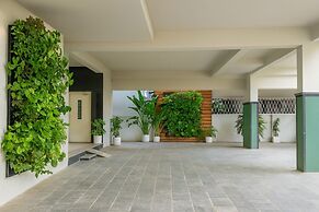 White Fern Stays