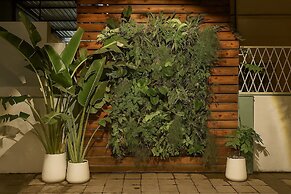 White Fern Stays