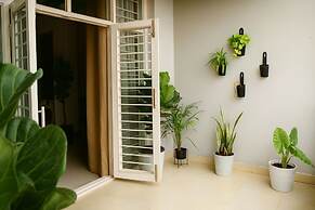 White Fern Stays