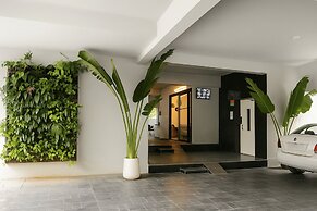 White Fern Stays
