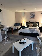 Charming Studio Apartment in London