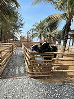 Hodota Cam Binh Resort & Spa-Lagi Beach