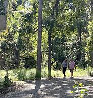 Ferns Hideaway Resort