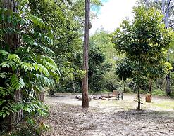 Ferns Hideaway Resort