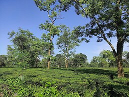 Homocation Manas Green Homestay