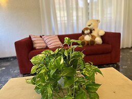 Le Focette Dell'Orso