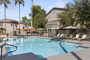 CozySuites at Chandler