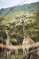 Letamo at Qwabi Private Game Reserve
