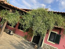 Summer House Surrounded by Olive Trees Halkidiki