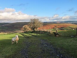 Nant Moel Isaf Farm