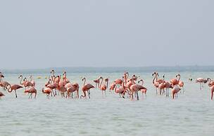 BLISS Apartments Holbox