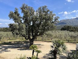 Domaine du Reginu