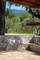 Domaine du Reginu