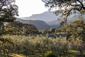 Domaine du Reginu