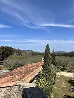 Domaine du Reginu