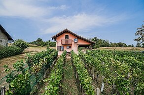 Holiday Home Vesna with Sauna