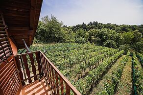 Holiday Home Vesna with Sauna