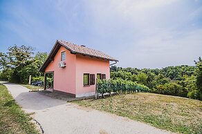 Holiday Home Vesna with Sauna