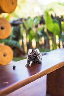 Mikiki Lifestyle Hotel