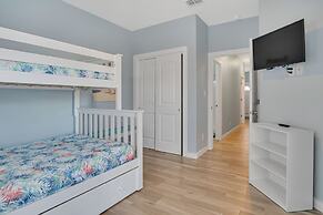 Bsc501-fin And Tonic