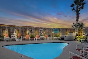 Ljc728-lajuana Iguana