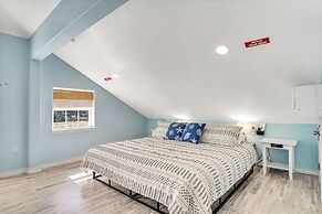 Ljc728-lajuana Iguana