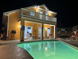 Ljc728-lajuana Iguana