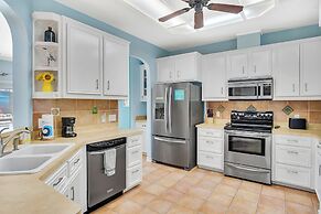 Ljc728-lajuana Iguana