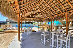 Ov39-jumpin' Jellyfish